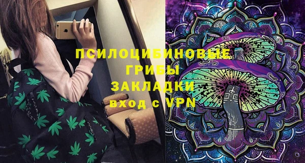 ГАЛЛЮЦИНОГЕННЫЕ ГРИБЫ Коряжма
