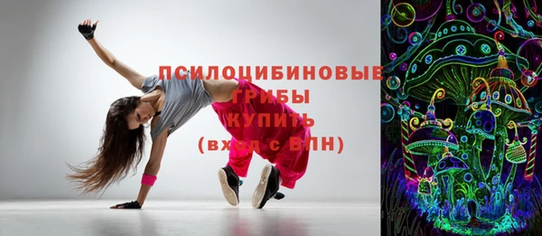 ГАЛЛЮЦИНОГЕННЫЕ ГРИБЫ Коряжма