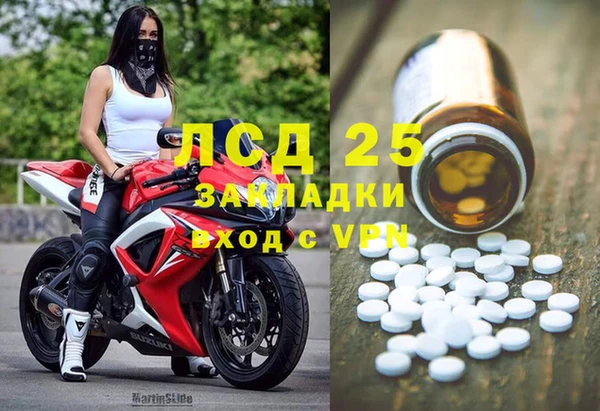 ГАЛЛЮЦИНОГЕННЫЕ ГРИБЫ Коряжма